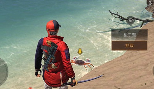 明日之后全新海岛地图解锁