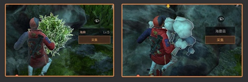 明日之后全新海岛地图解锁