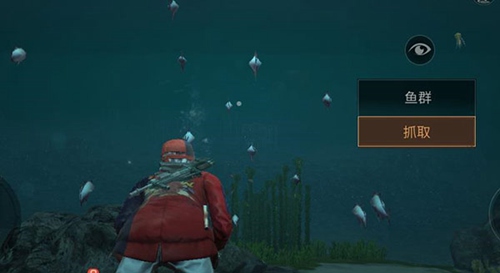 明日之后全新海岛地图解锁