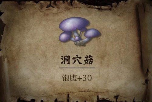 明日之后狗狗的食物推荐