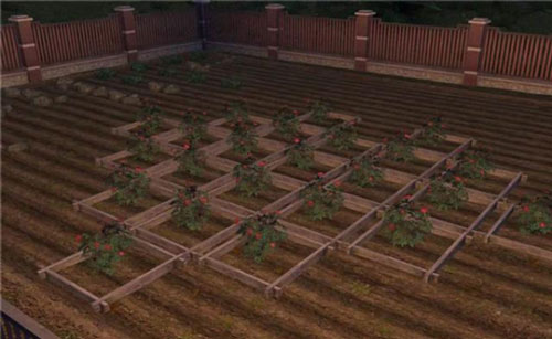 明日之后快速赚新币方法介绍