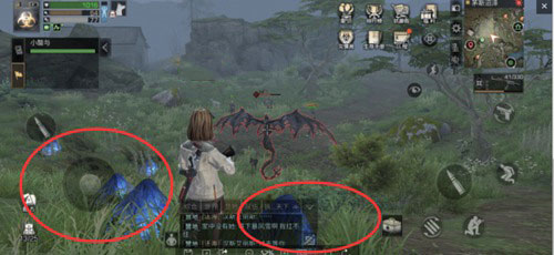 明日之后入侵变异体飞龙位置介绍