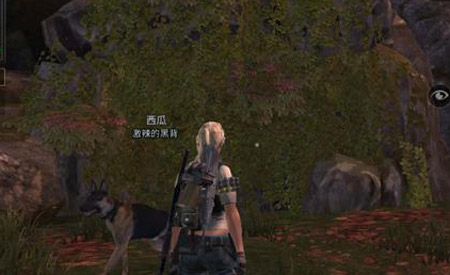 明日之后洞穴位置介绍