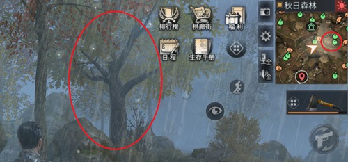 明日之后五大地图稀有资源汇总