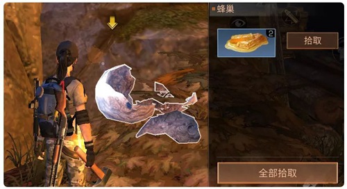 明日之后100%获取蜂蜜方法介绍