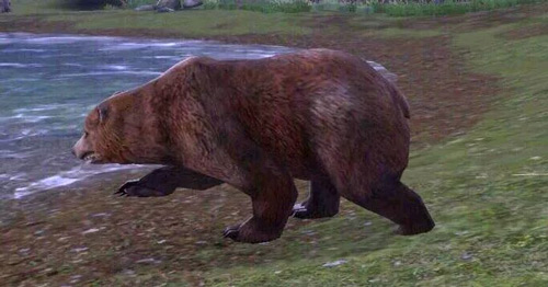 明日之后三围速成大法解析