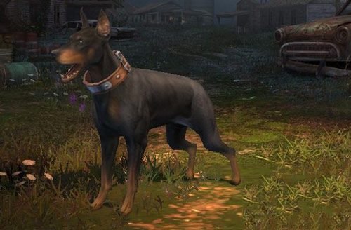 明日之后宠物狗特性及技能解析