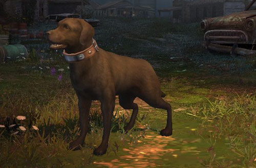 明日之后宠物狗特性及技能解析