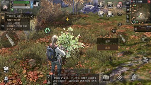 明日之后秋日森林资源采集攻略