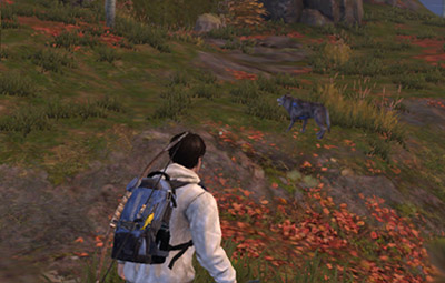 明日之后机械师和采集者对比解析