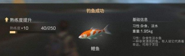 明日之后鱼饵制作配方汇总