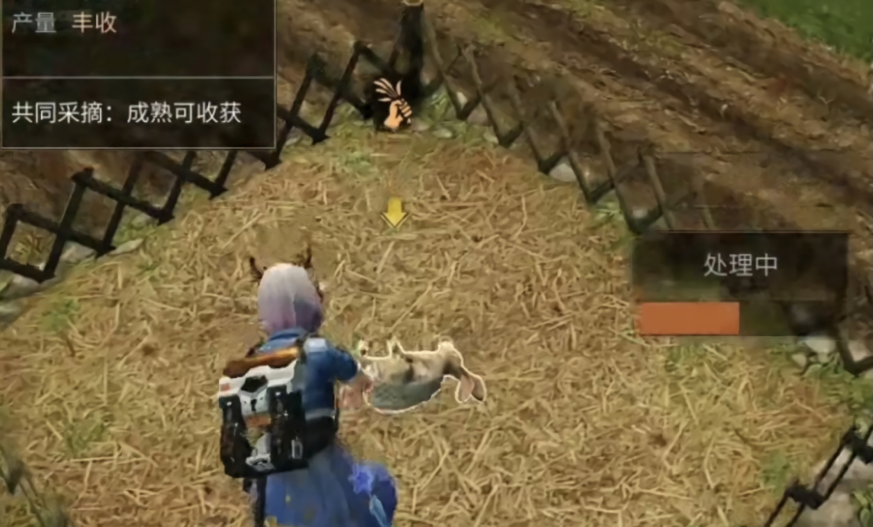 明日之后野兔用途一览