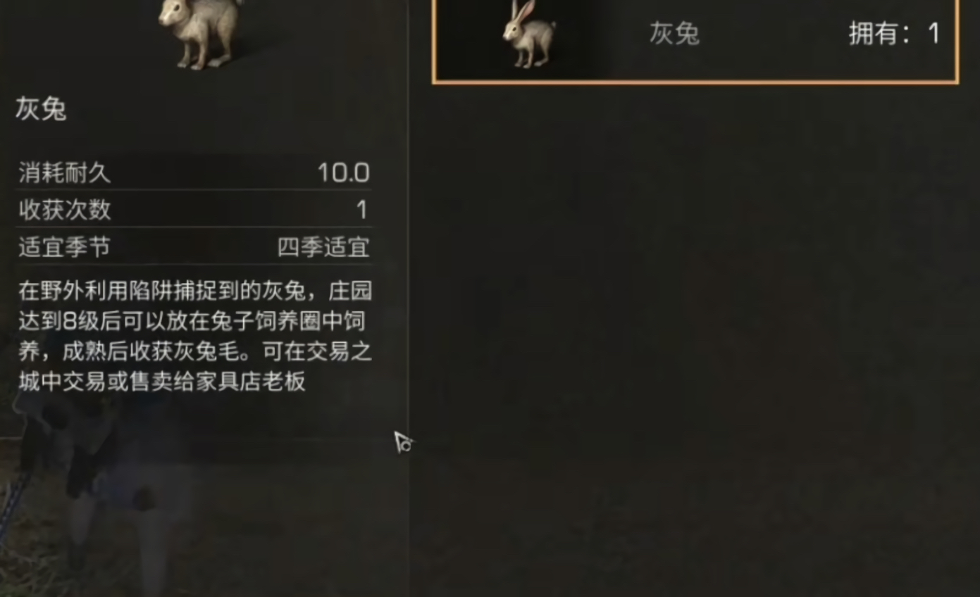 明日之后野兔用途一览