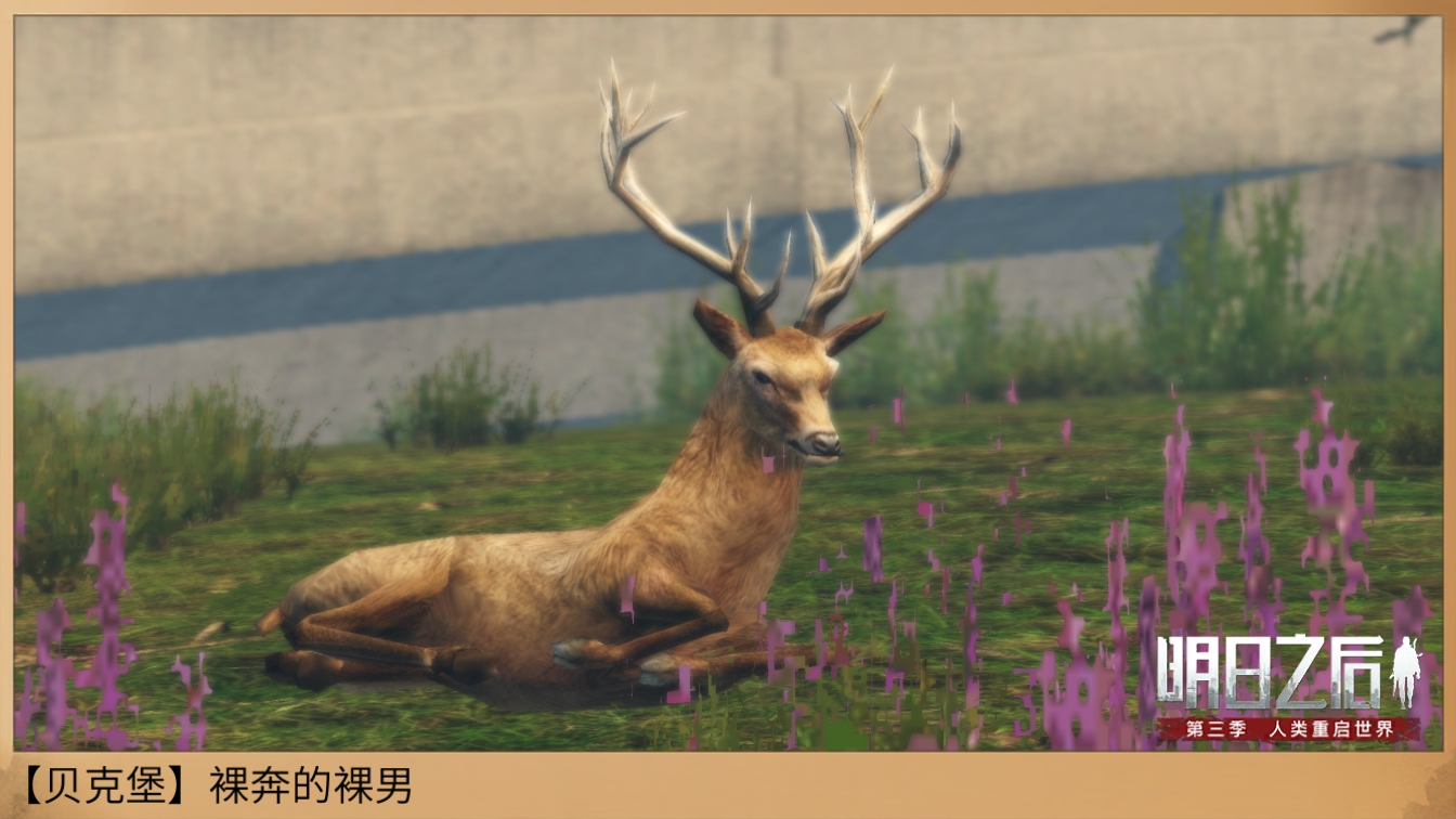 明日之后舞夜之星购买推荐