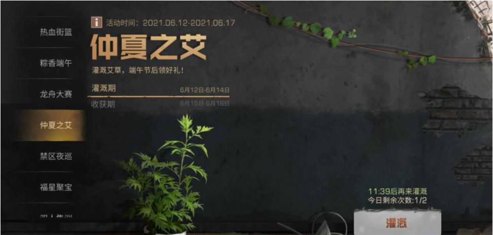 明日之后赠香粽赛龙舟浇灌艾草玩法介绍