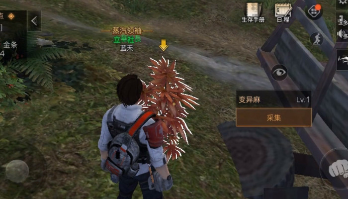 明日之后100级采麻工工作技巧分享