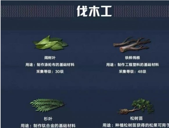 明日之后职业认证对比解析