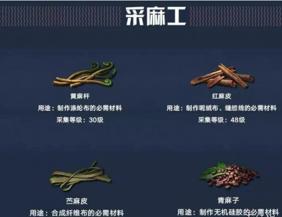 明日之后职业认证对比解析