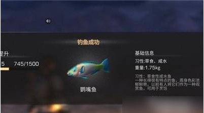 明日之后海洋图鉴玩法攻略