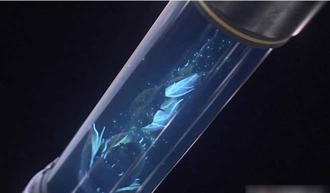 明日之后冷知识一览