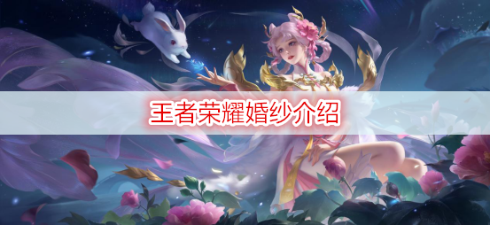 王者荣耀婚纱介绍