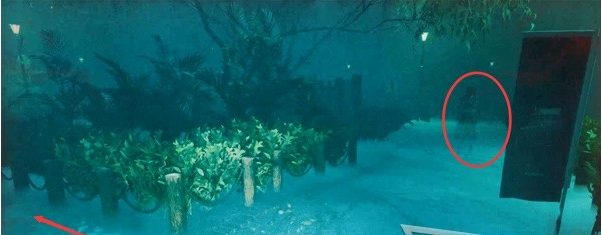 女鬼桥开魂路崩解·午夜灵异图文流程一览
