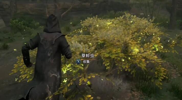霍格沃茨之遗植物位置在哪