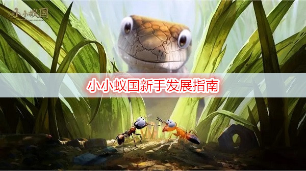 小小蚁国新手发展指南