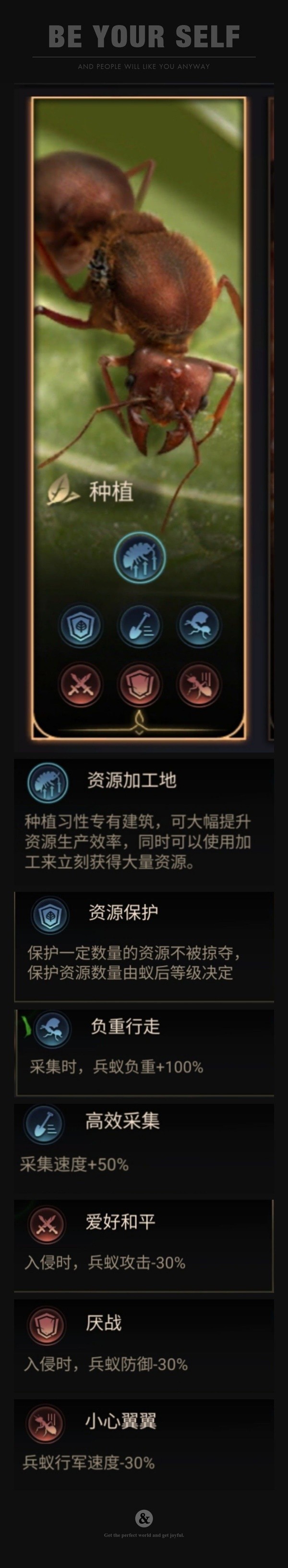 小小蚁国新手发展指南