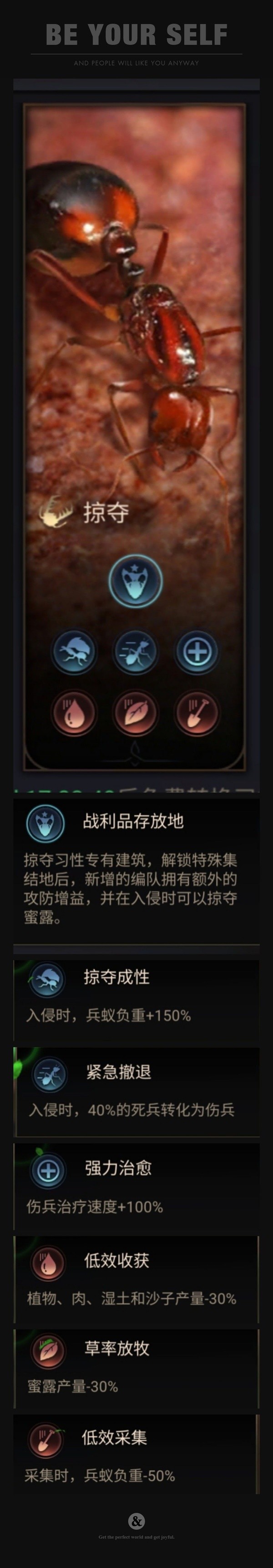 小小蚁国新手发展指南