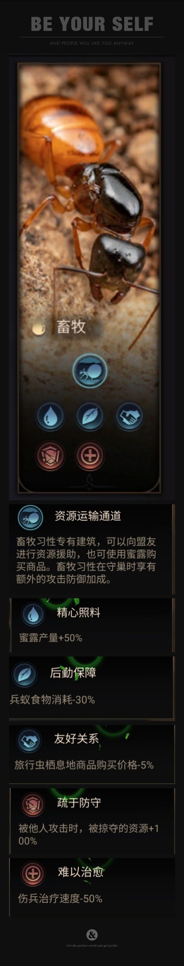 小小蚁国新手发展指南