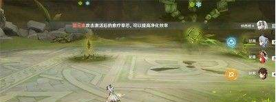 原神无相之草打法攻略