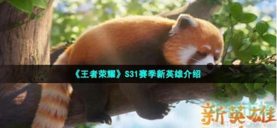 王者荣耀s31赛季新英雄是谁