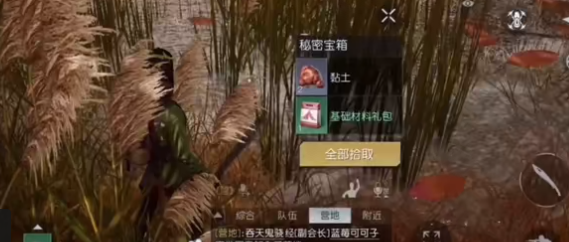 黎明觉醒生机湖心岛宝箱在什么位置