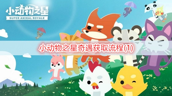 小动物之星奇遇获取流程(1)
