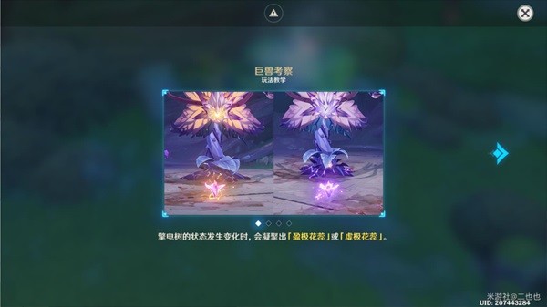 原神掣电树机制及打法攻略