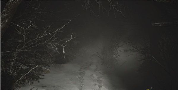 生化危机8前往村庄剧情流程图文一览