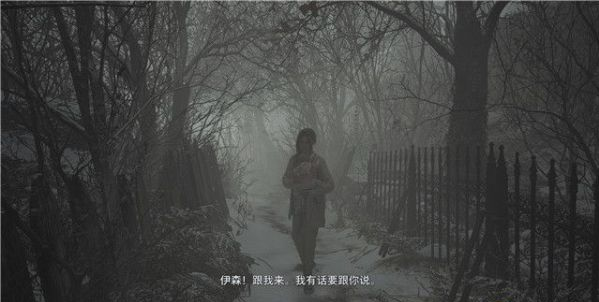生化危机8迷雾谷与木偶屋剧情流程图文一览