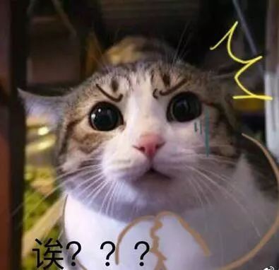 CQWB：探究其背后的独特含义与魅力