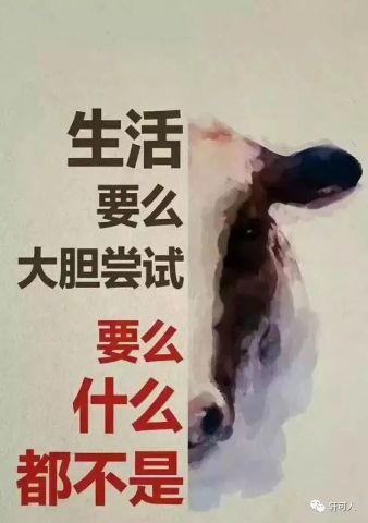 你为何此心拖泥带水？人生最苦处！