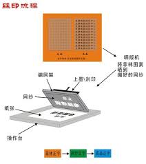 \'出菲林\'一词的真正含义与用途，提升你的行业认知度