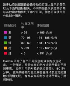 三人跑得快：快速辨别牌型技巧与游戏规则全面解析