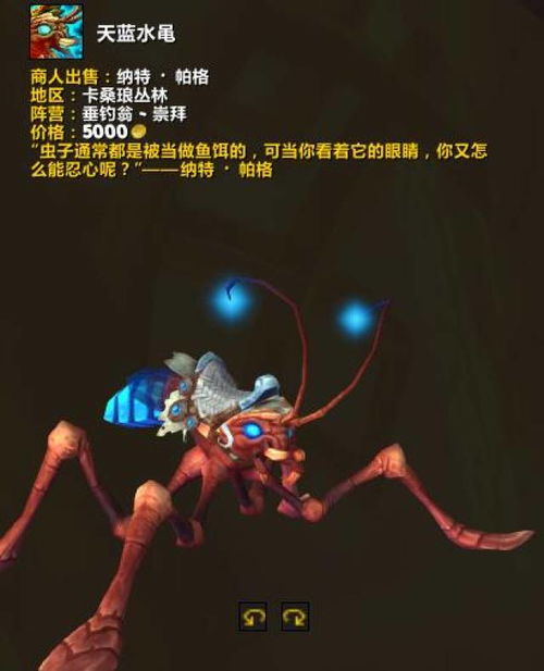 魔兽世界双人坐骑全解析