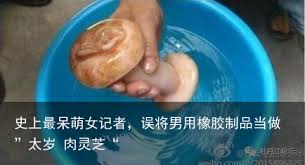 女记者太岁热点解析