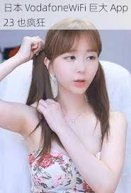 Vodafonewifi含义解释