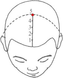 神秘泥宫穴：探索地球未知的秘密角落