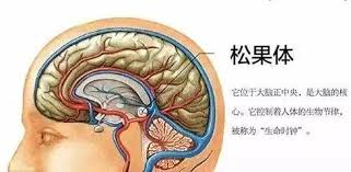 神秘泥宫穴：探索地球未知的秘密角落