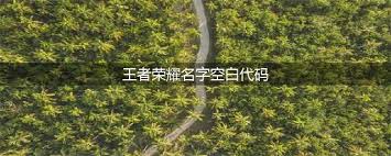 《王者荣耀：打造独特角色！2022最新空白名字代码及设置指南》