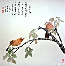 “探索画眉鸟养殖奥秘，尽在画眉鸟论坛百家号问答”