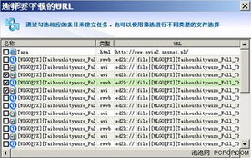 如何快速使用电骡下载资源？